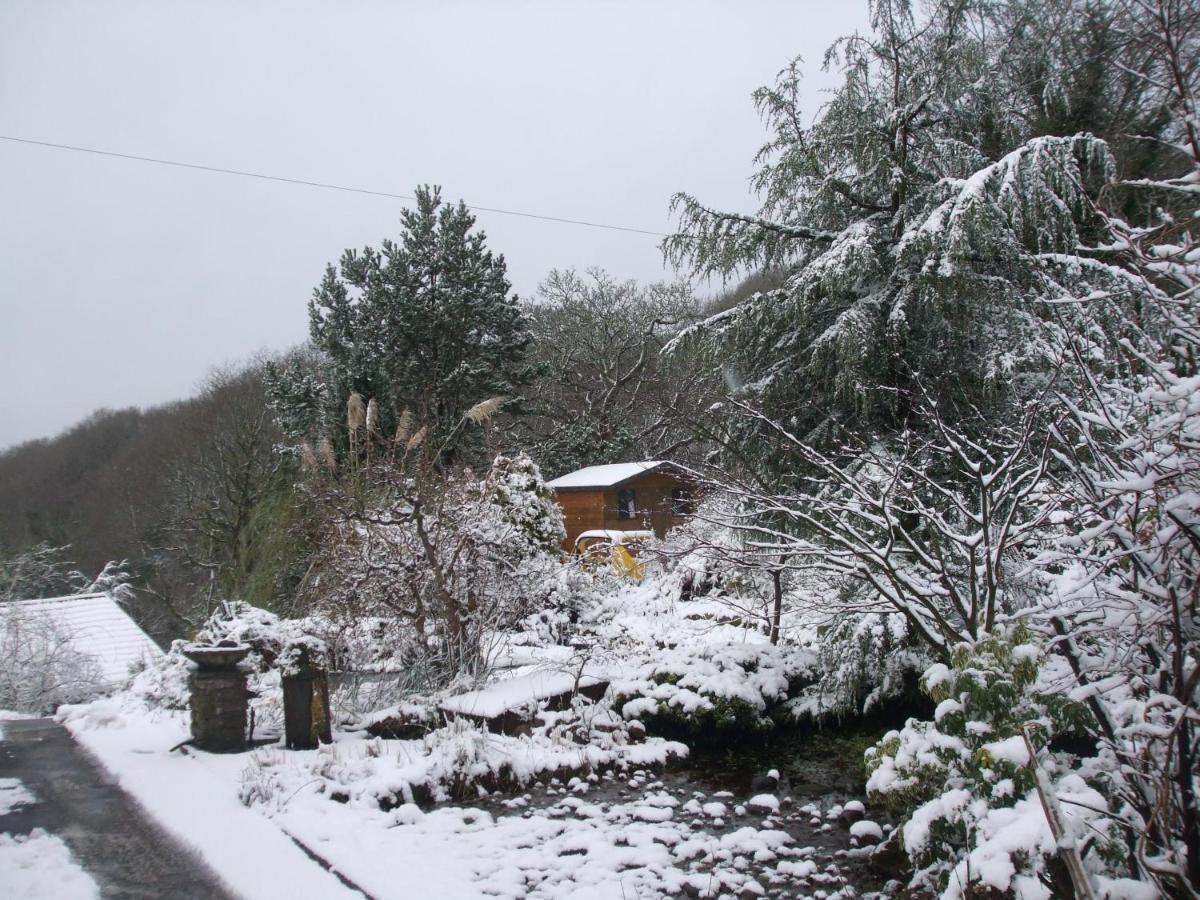 Cwmbach Guest House Neath Eksteriør bilde