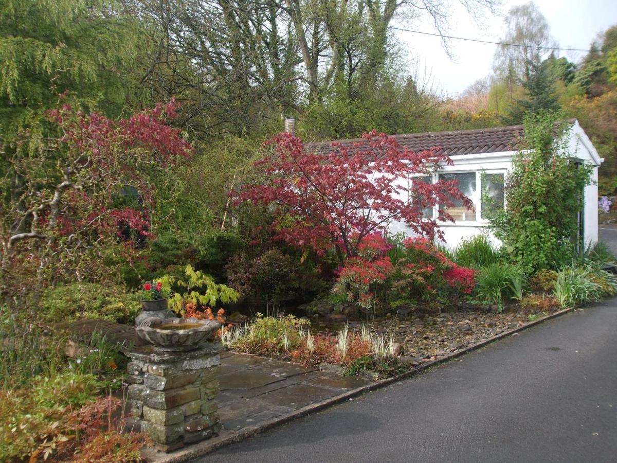 Cwmbach Guest House Neath Eksteriør bilde