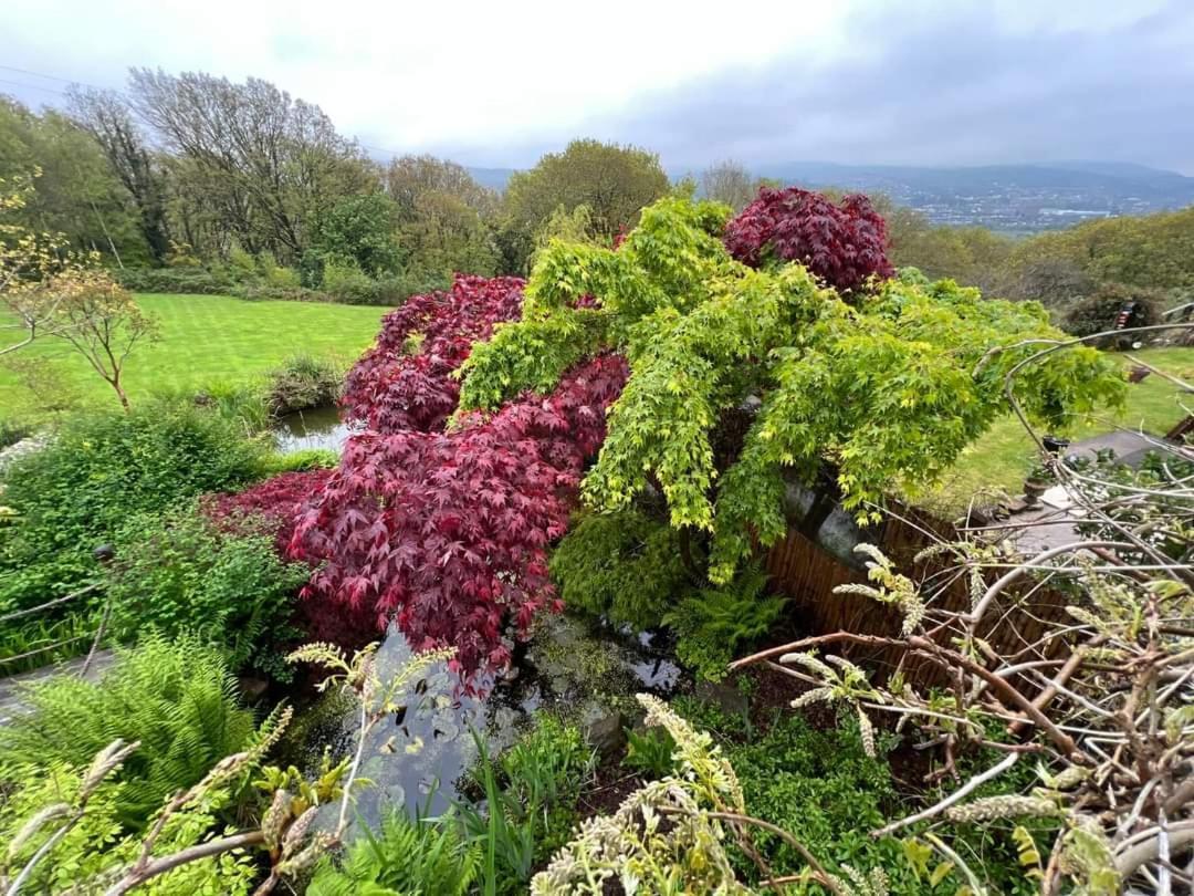 Cwmbach Guest House Neath Rom bilde
