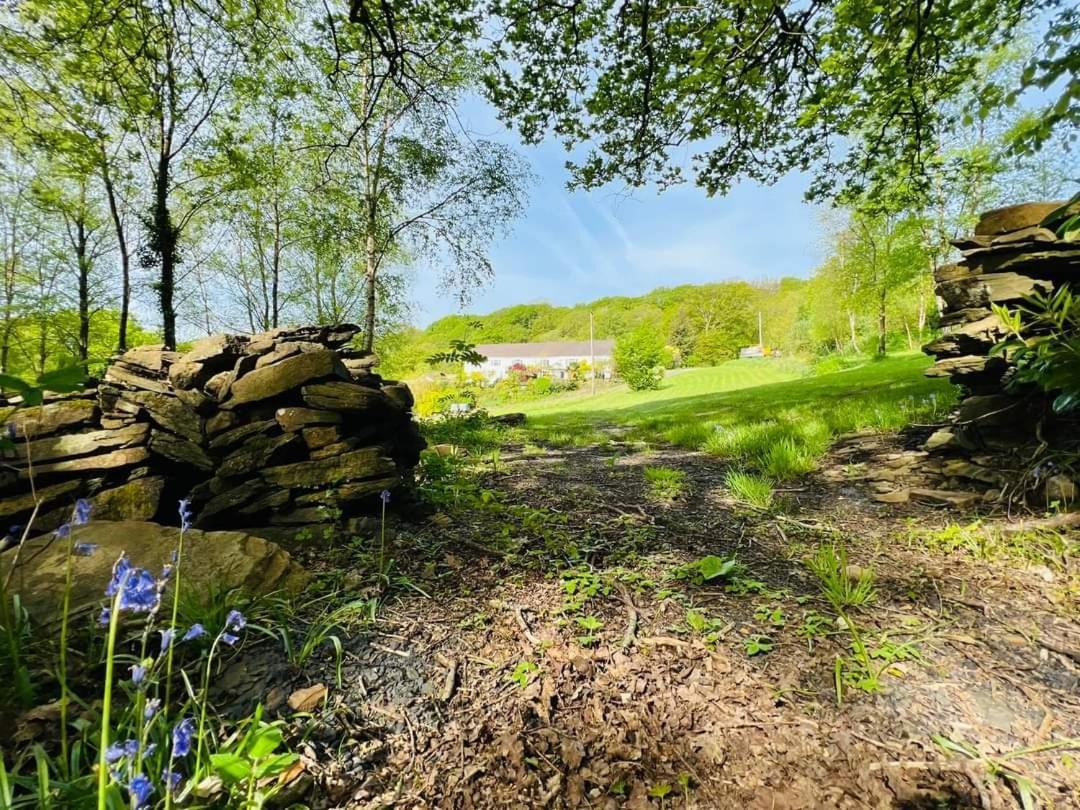 Cwmbach Guest House Neath Rom bilde