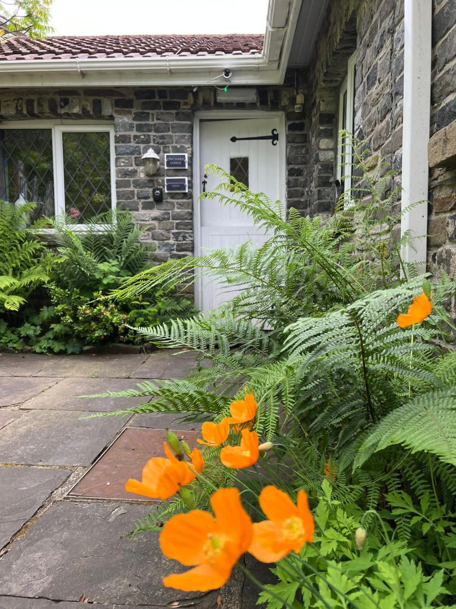 Cwmbach Guest House Neath Eksteriør bilde
