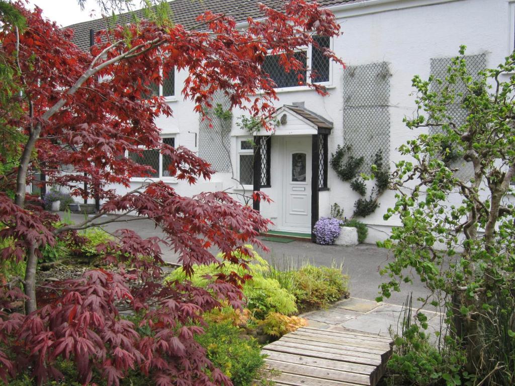 Cwmbach Guest House Neath Eksteriør bilde